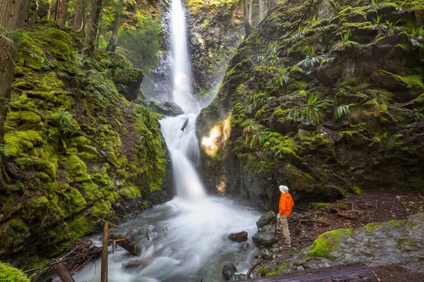 Wanderer Der Nähe Eines Wunderschönen Wasserfalls Den Kanadischen Bergen — Stockfoto