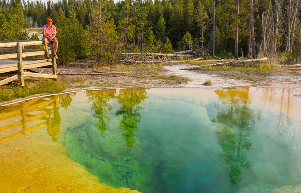 Colorful Morning Glory Pool Berömd Varm Källa Yellowstone National Park — Stockfoto