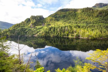 Kanada'da dağ gölü sakin sahne 