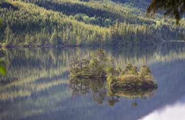 Kanada'da dağ gölü sakin sahne