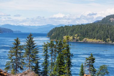 Vancouver Adası, British Columbia, Kanada