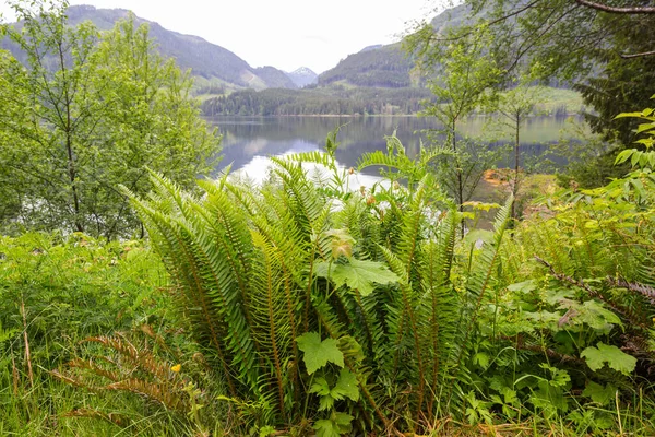 由在加拿大的湖山宁静 — 图库照片