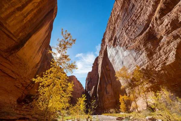 Autumn Season Utah Mountains Usa — Stock Photo, Image