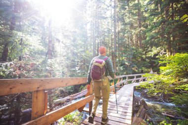 Ormandaki patikada yürüyüş yapan bir adam. Doğa yürüyüşü açık havada.