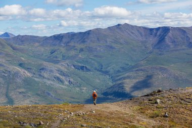 Hiker in beautiful mountains in Tombstone Territorial Park, Yukon, Canada