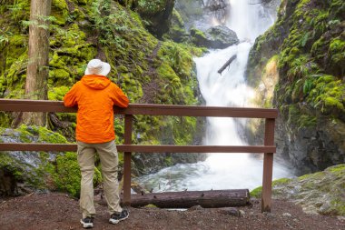 Kanada dağlarındaki güzel şelalenin yanında bir gezgin.