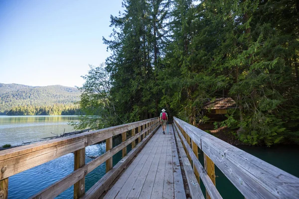 Boardwalk Lake Forest Packwood Lake Washington Usa — Foto Stock