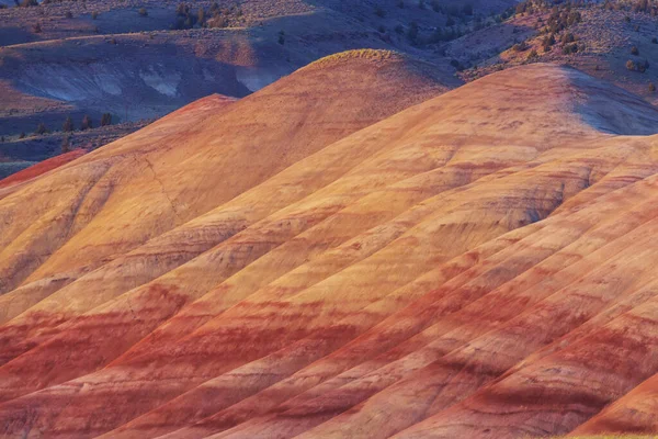 John Day Fossil Beds National Monument Oregon Usa Unusual Natural —  Fotos de Stock