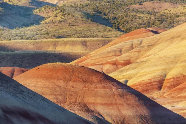 John Day Fossil Beds National Monument Орегон Сша Незвичайні Природні — стокове фото