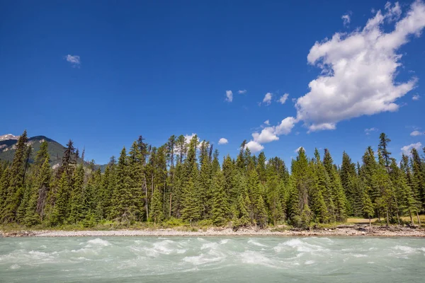Kootenai River Rocky Mountains Canada — Fotografia de Stock