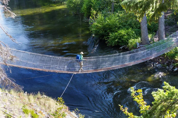 Suspension Bridge Mountain River Canada — Photo