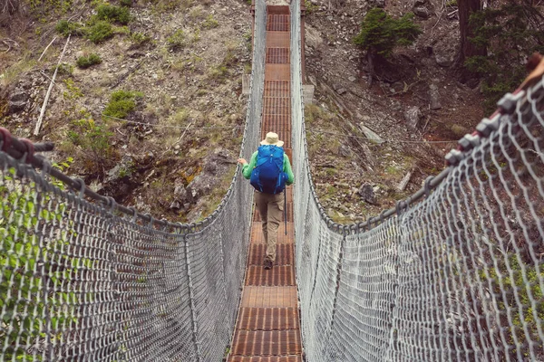 Suspension Bridge Mountain River Canada — 스톡 사진