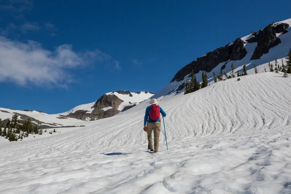 Hiker Snow Early Summer — Stock fotografie