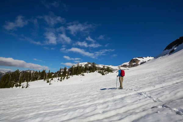 Hiker Snow Early Summer — Stockfoto