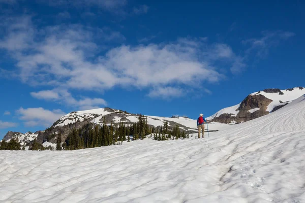 Hiker Snow Early Summer — Stock fotografie