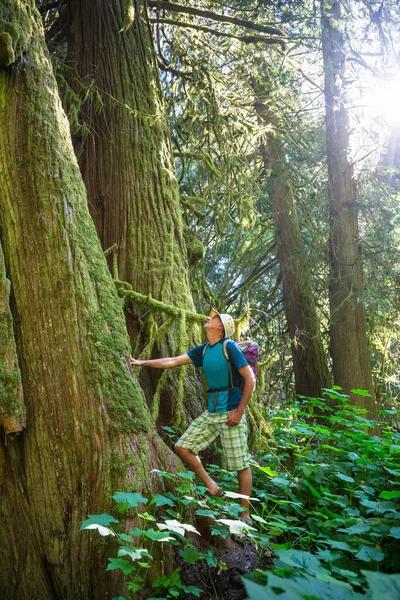 Man Escursioni Baia Sentiero Nella Foresta Natura Escursioni Piacere Viaggio — Foto Stock