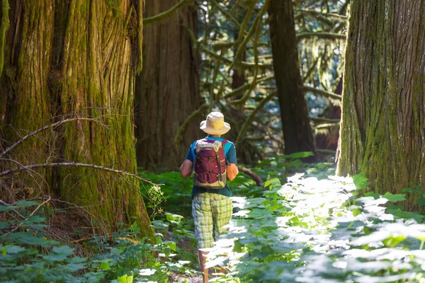 Homem Caminhando Baía Trilha Floresta Natureza Lazer Caminhada Viajar Livre — Fotografia de Stock