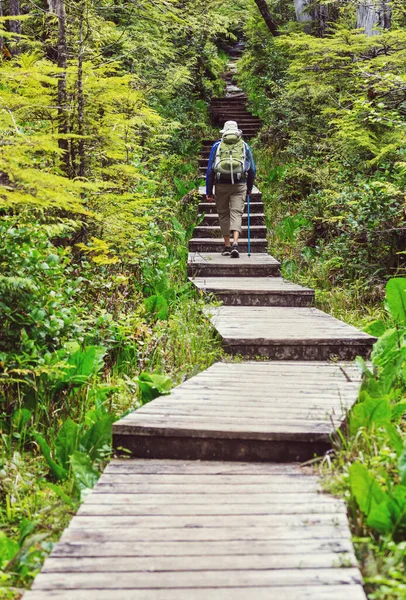 Homem Caminhando Baía Trilha Floresta Natureza Lazer Caminhada Viajar Livre — Fotografia de Stock
