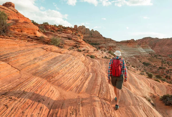 Randonnée Dans Les Montagnes Utah Randonnée Dans Des Paysages Naturels — Photo