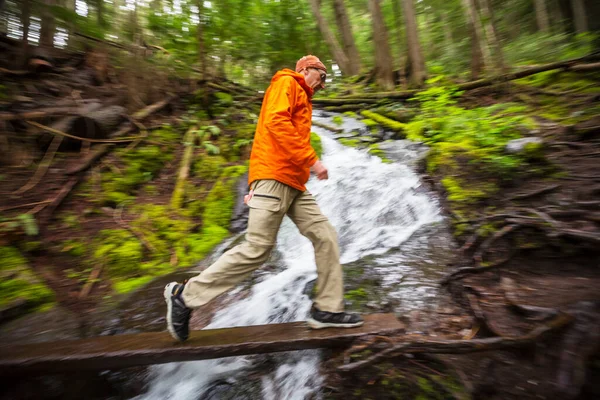 Турист Возле Красивого Водопада Горах Канады — стоковое фото