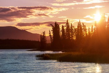 Sunset scene on the lake at sunset summer nature landscapes