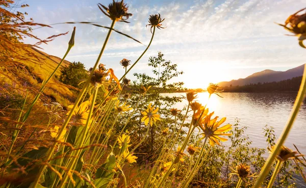 Zonsondergang Scène Het Meer Bij Zonsondergang Herfst Natuur Landschappen — Stockfoto