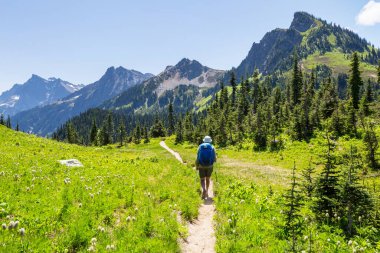Yaz dağlarında gezginler