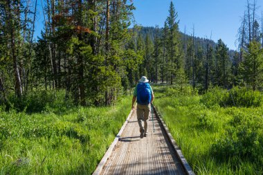 Yaz dağlarında gezginler