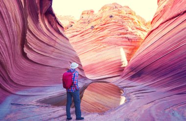 The Wave, Arizona, Vermillion Cliffs, Paria Canyon State Park, ABD. İnanılmaz doğal bir geçmiş.