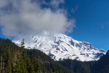 Mount Rainier Ulusal Parkı, Washington