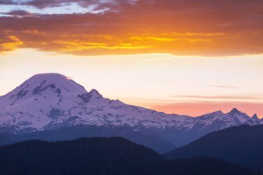 Mount Rainier Ulusal Parkı, Washington