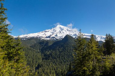 Mount Rainier Ulusal Parkı, Washington