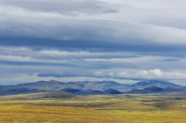 Kutup dairesinin üstündeki Tundra manzaraları