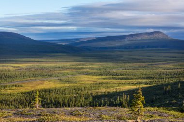 Kutup dairesinin üstündeki Tundra manzaraları