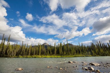 Beautiful mountains river in summer season, Canada