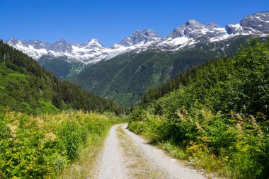 Dağlarda manzaralı bir yol. Seyahat arkaplanı.