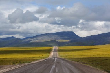 Sonsuz Dempster karayolu yakınındaki Kuzey Kutup dairesi, Dawson City Inuvik, Kanada için önde gelen uzak çakıl yol
