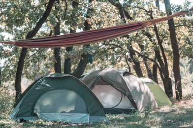 tents in summer camping  in green forest