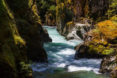 Waterfall at Mount Rainier National Park, Washington, USA