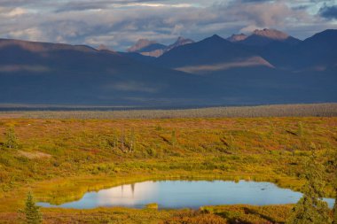 Picturesque Mountains of Alaska in autumn. Snow covered massifs, glaciers and rocky peaks, orange trees. Beautiful natural background.