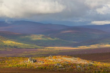 Tundra landscapes above Arctic circle in autumn season. Beautiful natural background.