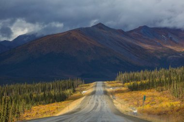 Tundra landscapes above Arctic circle in autumn season. Beautiful natural background.