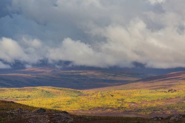 Tundra landscapes above Arctic circle in autumn season. Beautiful natural background.