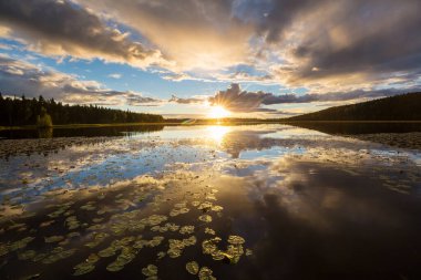 Sunset scene on the lake at sunset summer nature landscapes