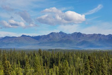 Yazın Alaska 'nın Picturesque Dağları. Kar, kütleleri, buzulları ve kayalık tepeleri kapladı. Güzel doğal arkaplan.