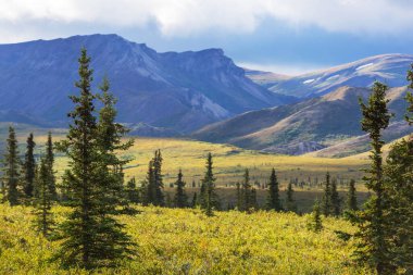 Yazın Alaska 'nın Picturesque Dağları. Kar, kütleleri, buzulları ve kayalık tepeleri kapladı. Güzel doğal arkaplan.