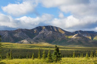 Yazın Alaska 'nın Picturesque Dağları. Kar, kütleleri, buzulları ve kayalık tepeleri kapladı. Güzel doğal arkaplan.