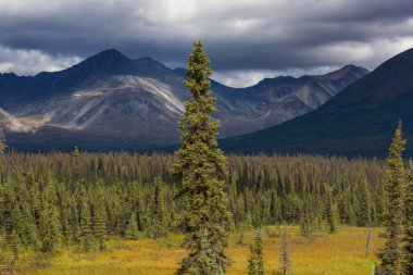Yazın Alaska 'nın Picturesque Dağları. Kar, kütleleri, buzulları ve kayalık tepeleri kapladı. Güzel doğal arkaplan.