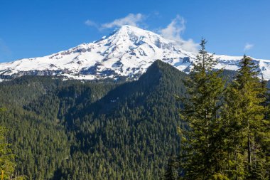 Mount Rainier Ulusal Parkı, Washington