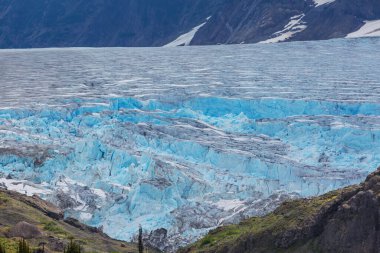 Kanada, Stewart 'ta somon buzulu